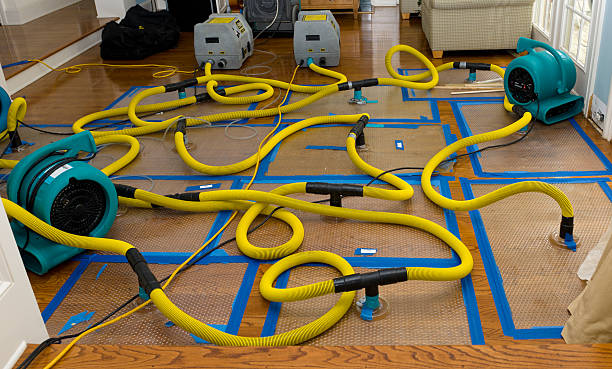 Professional Structural Drying And Dehumidification technician working in Holden, MO